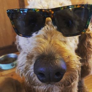 Meet your Posher, Maggie